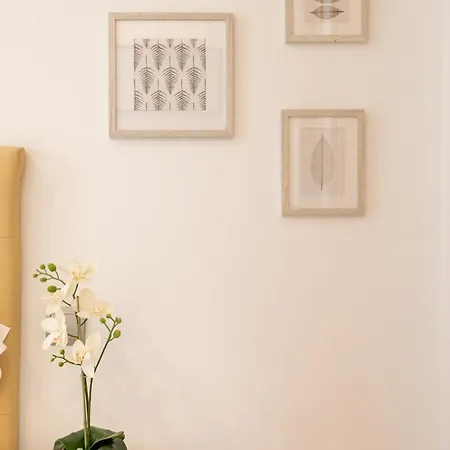 Arrayan By Valcambre Sevilla